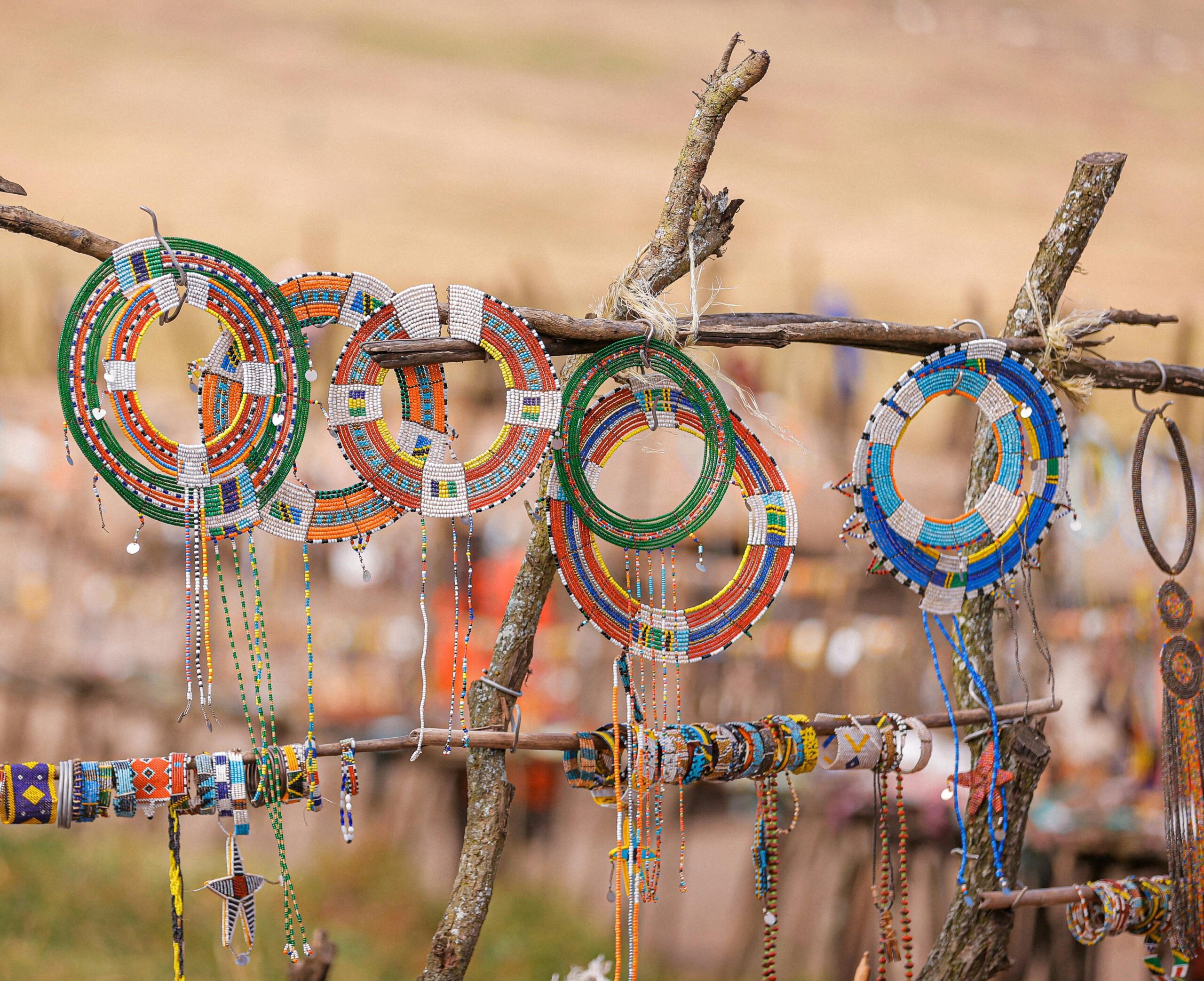 Welcome to Finorms: Building Financial Resilience Together